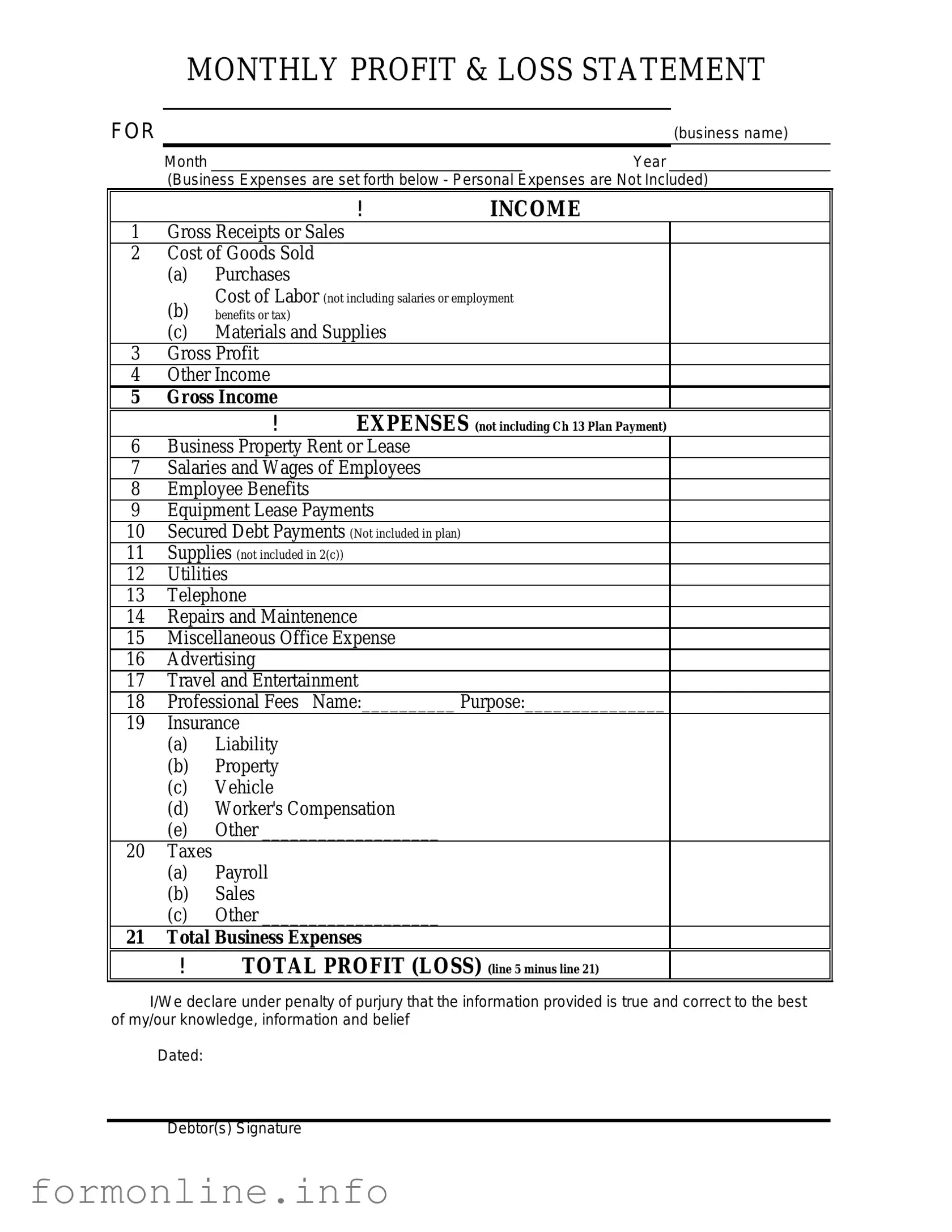 Fill Out a Valid Profit And Loss Form