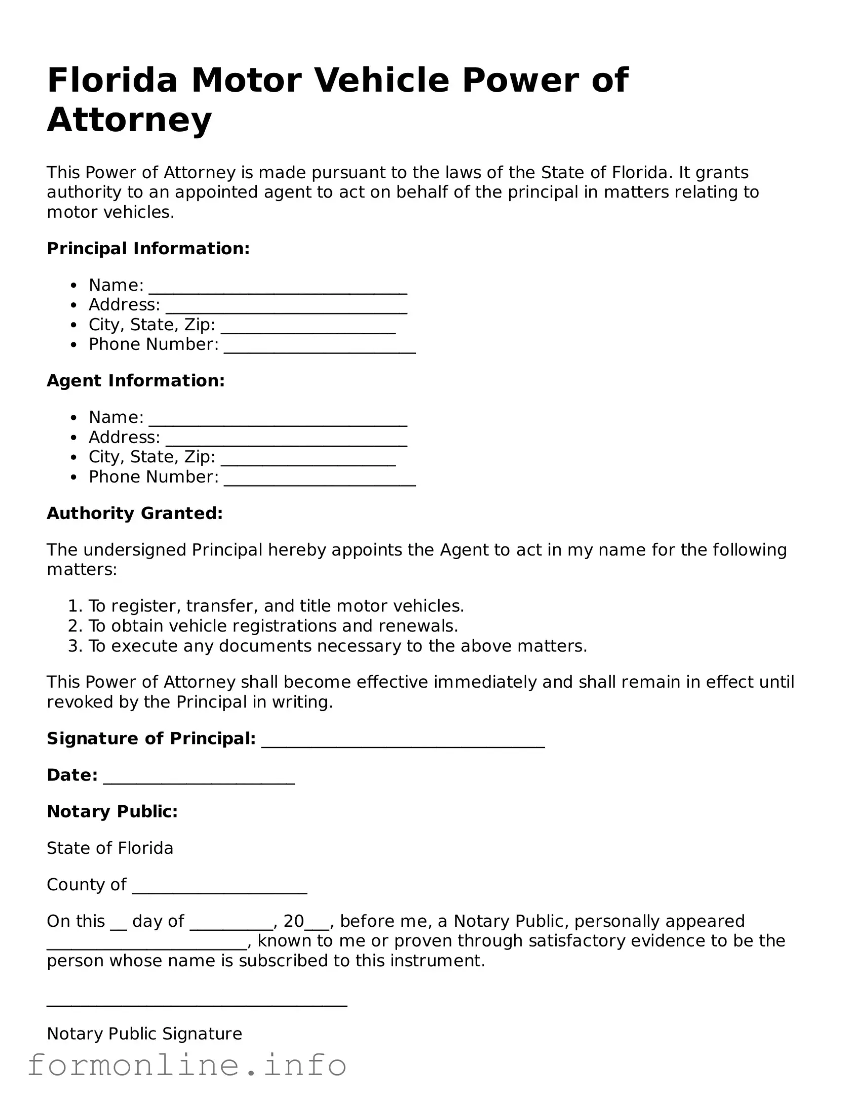 Free Motor Vehicle Power of Attorney Template for Florida State