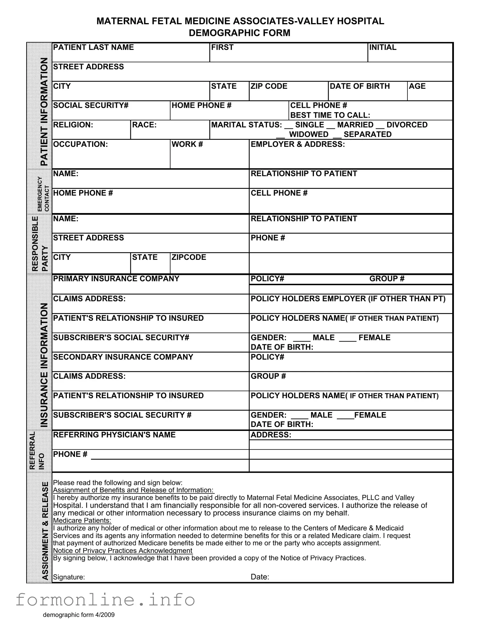 Fill Out a Valid Patient Demographics Form
