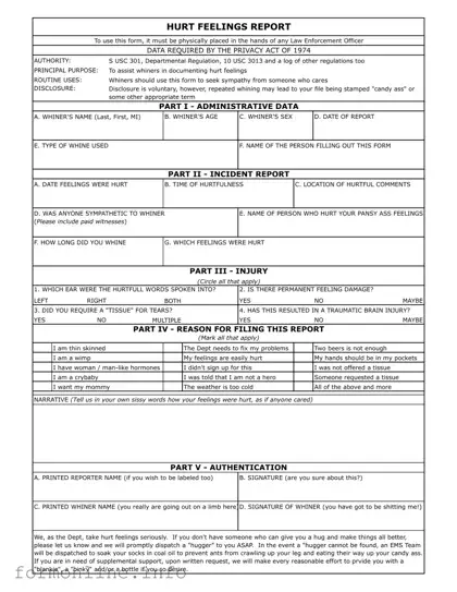 Fill Out a Valid Hurt Feelings Report Form