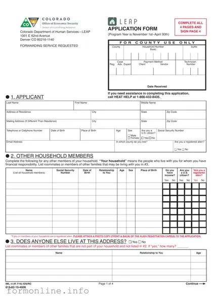 Fill Out a Valid Leap application IML-4 Form
